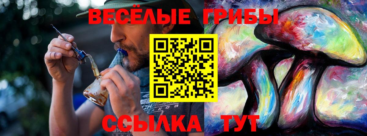 Псилоцибиновые грибы GOLDEN TEACHER Реутов